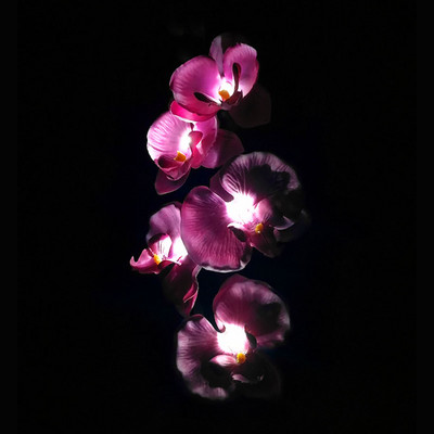 Saules gaismas dārza dekorēšanai 5 galviņas Phalaenopsis ūdensnecaurlaidīgas āra ainavas zāliena lampas iekšpagalma celiņam piemājas pagalmā