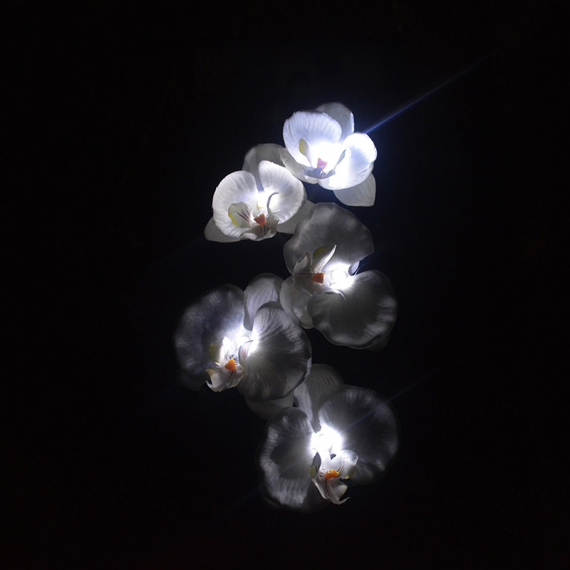 Saules gaismas dārza dekorēšanai 5 galviņas Phalaenopsis ūdensnecaurlaidīgas āra ainavas zāliena lampas iekšpagalma celiņam piemājas pagalmā