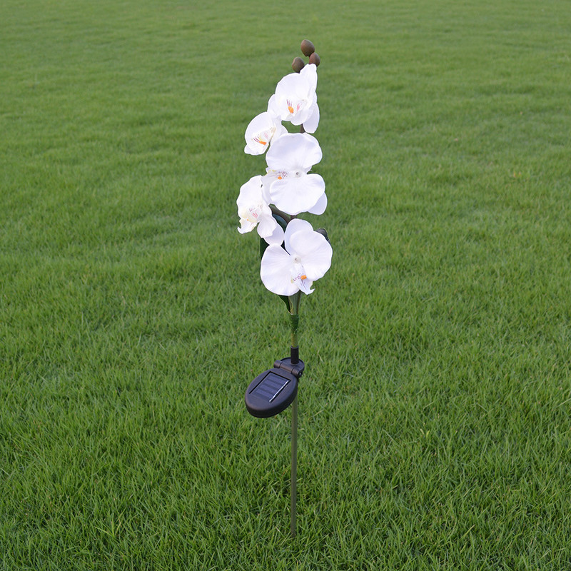Saules gaismas dārza dekorēšanai 5 galviņas Phalaenopsis ūdensnecaurlaidīgas āra ainavas zāliena lampas iekšpagalma celiņam piemājas pagalmā