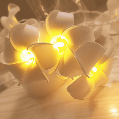 Barkácsolás Plumeria LED zsinóros lámpa akkumulátor USB EU dugós táp Frangipani virágfüzér lámpa ünnepi bulihoz karácsonyi hálószoba dekoráció