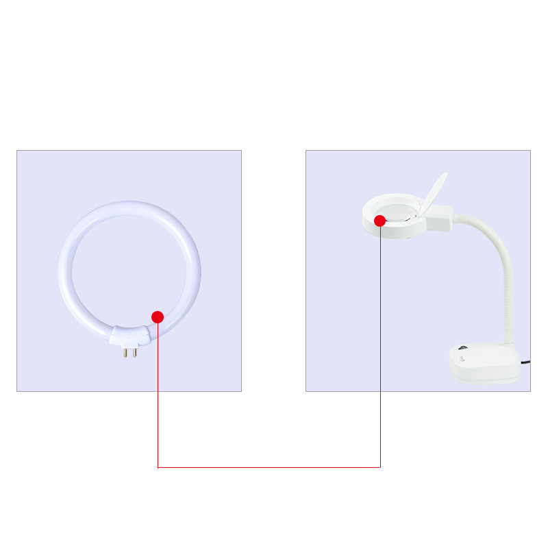 Baltos mažos stalinės lempos Lemputė Fluorescencinė žiedinė lempa Žiediniai vamzdeliai Keturių kontaktų didinamojo stiklo šviesa 110V ir 220V T4 11W 12W