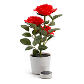 Gazon cu energie solară, grădină, balcon, acasă, dormitor, lampă de masă decorativă cu trandafiri, plante artificiale, ghiveci de flori