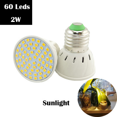 LED pirn kasvuvalgusti E27 kasvuhoone hüdropooniline LED kasvulamp Sisekasvatuskasti kasvuhoone Lill Roheline taim 220 V lamp