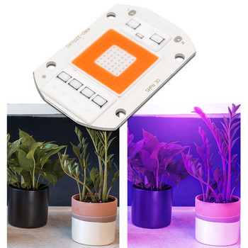 Πλήρους φάσματος LED COB Plant Grow Lamp AC 220V 110V Directly Smart IC LED Chip 20W 30W 50W for Flower Blooming
