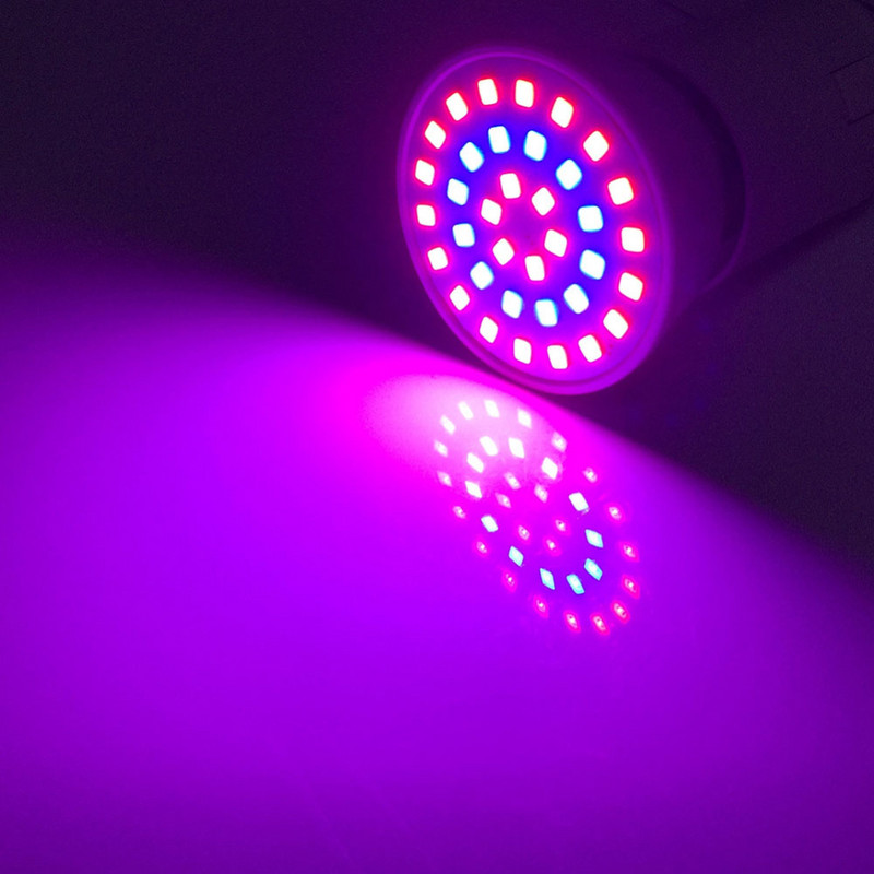 3W 4W 5W LED Grow Light E27 Bec pentru plante pentru creșterea florilor pentru seră de interior pentru creșterea sistemului hidroponic de legume