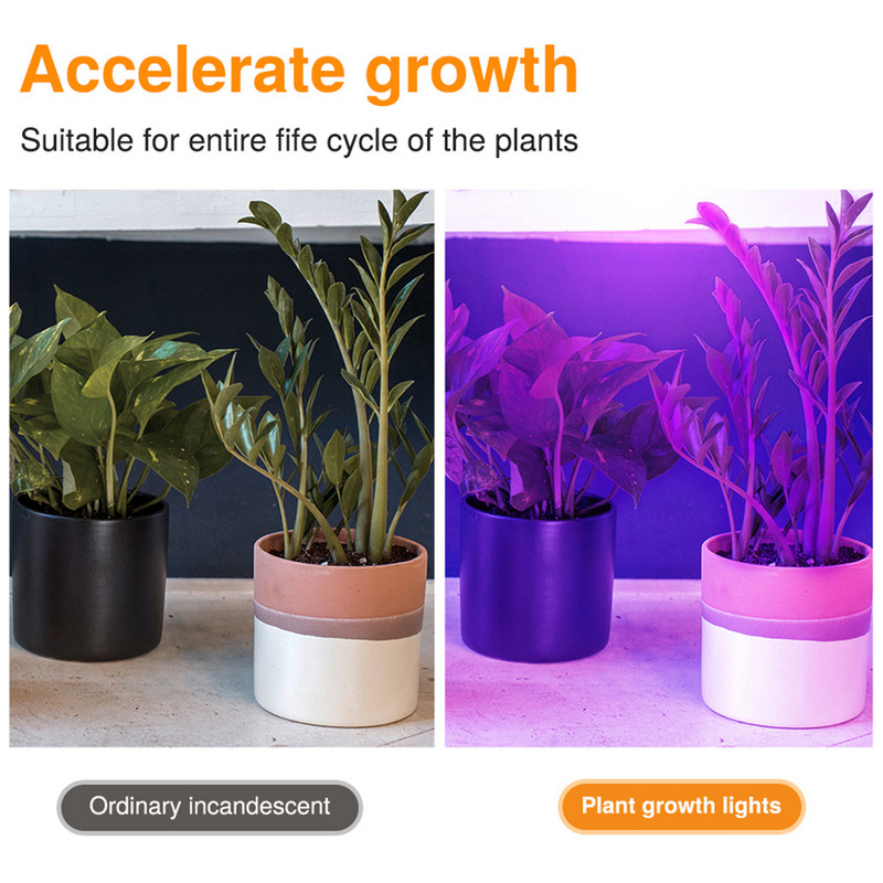 Be vairuotojo COB LED mikroschema kintamosios srovės 220 V 110 V tiesiogiai išmanusis IC 20 W 30 W 50 W, skirtas žydinčioms VEG viso spektro lempoms augalų augimui