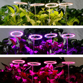 LED-kasvatuslampi inglirõngas, kolme spektriga valikuline, 1 kuni 4 siseruumides kasutatavat köögiviljasukulendid taimekasvatusvalgusti koju