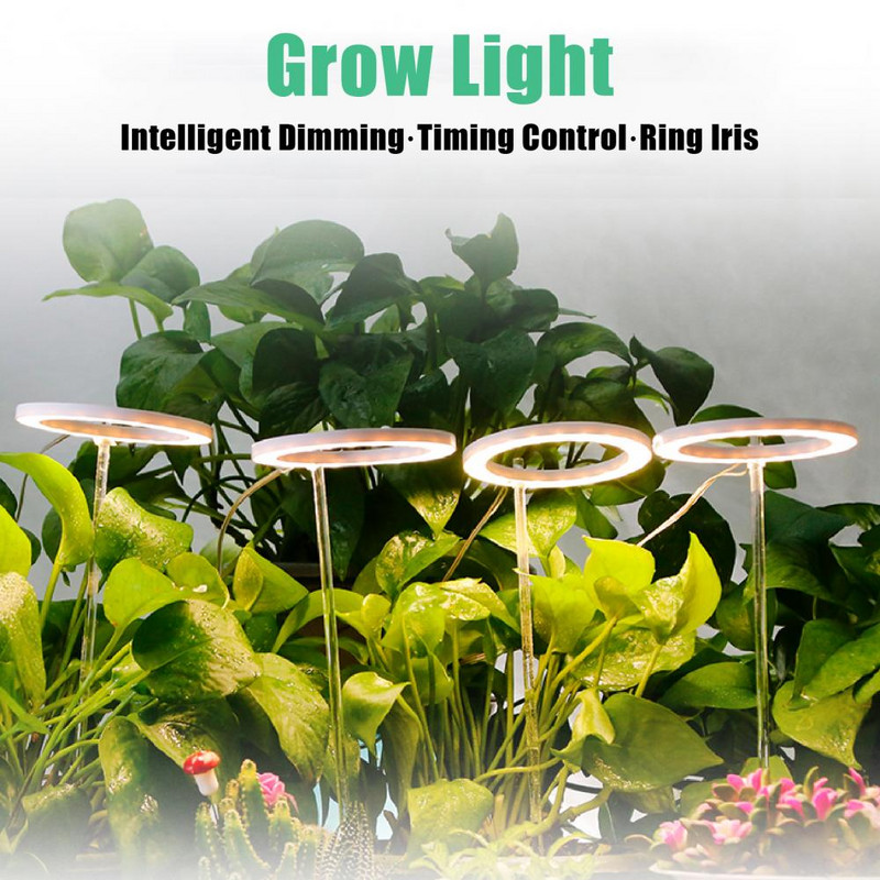 LED-kasvatuslampi inglirõngas, kolme spektriga valikuline, 1 kuni 4 siseruumides kasutatavat köögiviljasukulendid taimekasvatusvalgusti koju