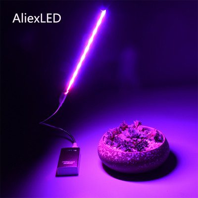 USB 5V LED Grow Light Viso spektro raudona lempa Mėlyna Phyto Grow lempa Vidinė USB fitolampa augalams Gėlių sodinukų šiltnamiui