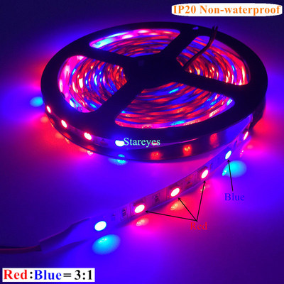 1 ritinio SMD 5050 5 m LED juostelės auginimo šviesa Viso spektro LED gėlių augalų fito lempa, skirta šiltnamio efektą sukeliančių hidroponinių augalų auginimui