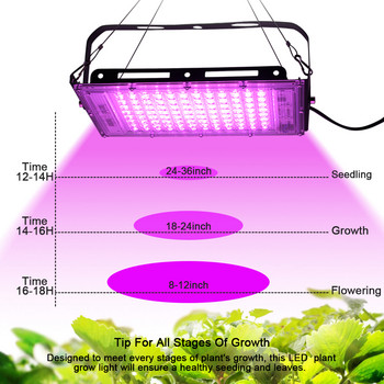 Пълен спектър LED Grow Light PhytoLamp For Plants Tent Flower Seed 50W AC 220V Range Lamp Outdoor Floodlight Grow Phyto Box
