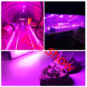 Πλήρους φάσματος LED Grow Light PhytoLamp για φυτά Tent Flower Seding 50W AC 220V Range Lamp Outdoor Floodlight Grow Phyto Box