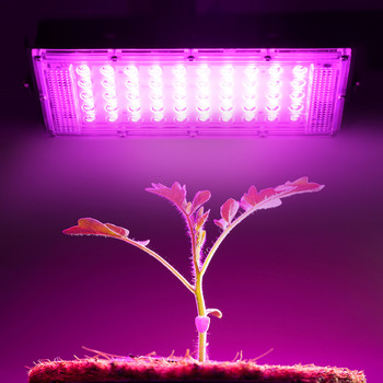 3 бр./лот LED Grow Light Phyto Lamp AC220V 50W LED Full Spectrum Floodlight LED Grow Greenhouse Hydroponic Indoor Plant Spotlight