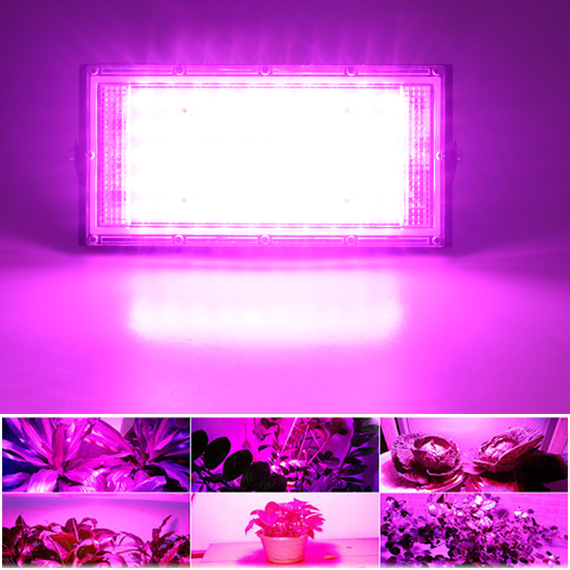 3tk/partii LED kasvuvalgusti fütolamp AC220V 50W LED täisspektriga prožektor LED Grow kasvuhoone hüdropooniline sisetaimede kohtvalgusti