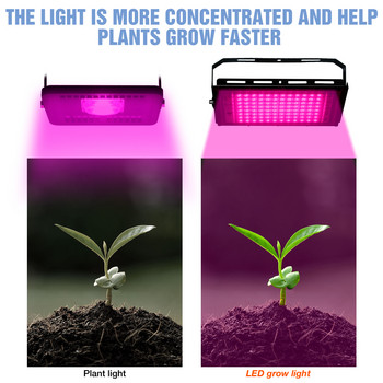 LED Grow Light Phyto Lamp Plant Light 220V 50W Phytolamp LED Full Spectrum Floodlight Оранжерийно осветление Хидропонна лампа за растения