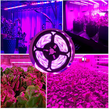 USB 5V LED Grow Lights Лампа за отглеждане с пълен спектър Водоустойчива UV фитолампа 2835 Чип Растения Цветя Оранжерия Cultivo Hydroponic