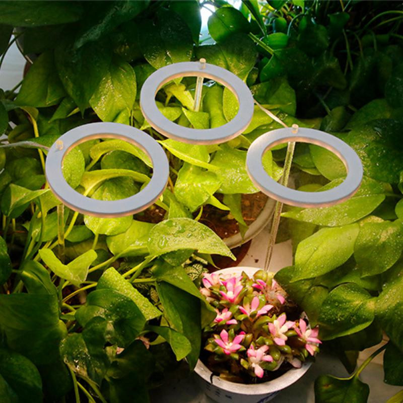 Angel Ring Grow Light DC5V USB fütolamp taimede jaoks Led täisspektriga lamp siseruumide taimede seemikute jaoks Kodu Lillede seemikute lamp