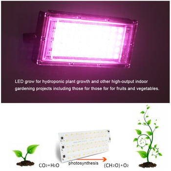 3Pcs 50W LED Grow Light AC220V пълен спектър Направи си сам оранжерийно хидропонно осветление за растеж на растения Smd2835 Стайно осветление за растения Seedlin