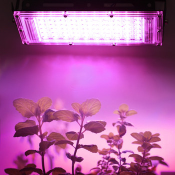 3Pcs 50W LED Grow Light AC220V пълен спектър Направи си сам оранжерийно хидропонно осветление за растеж на растения Smd2835 Стайно осветление за растения Seedlin