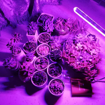 5V 10W 21LED USB LED лампа за растеж на растения Светлини с пълен спектър за хидропоника Оранжерия Червена/Синя светлина за отглеждане на растения Отглеждане на цветя