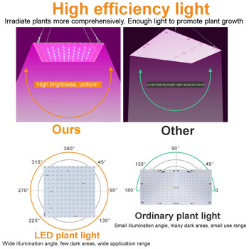 81/169 светодиоди 2000W 3000W вътрешна LED лампа за отглеждане на растения Лампа за отглеждане на растения Червен Син Пълен спектър за закрито хидропонно растение