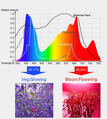 81/169 светодиоди 2000W 3000W вътрешна LED лампа за отглеждане на растения Лампа за отглеждане на растения Червен Син Пълен спектър за закрито хидропонно растение