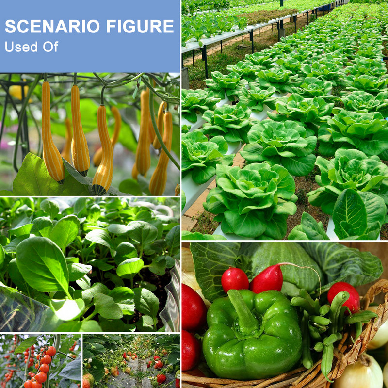 LED Grow Light E27 Fitolampy teljes spektrumú fitolámpa csipesszel palántákhoz virág Fitolamp Chambre De Culture beltéri használatra