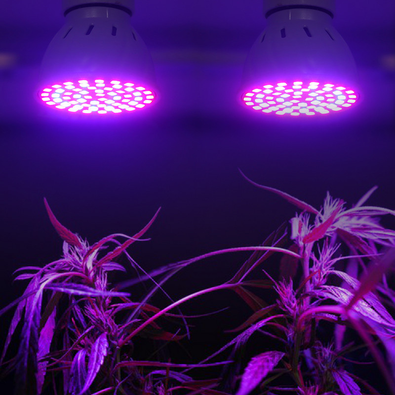 2 vnt Led Grow lemputė E27 E14 MR16 GU10 Viso spektro LED augalų hidroponinio augimo šviesos fito lempa patalpų apšvietimo gėlių sodinukai