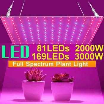 Светодиодна лампа за отглеждане 2000 W 3000 W 81 светодиода / 169 светодиода Phytolamp Пълен спектър Превключвател за 1 режим Вег Блум Лампа за растеж на вътрешни растения
