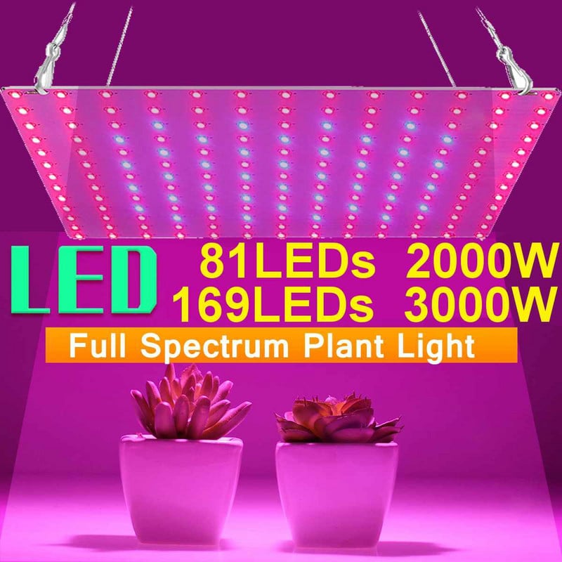 Lumină de creștere LED 2000W 3000W 81 LED-uri / 169 LED-uri Phytolamp cu spectru complet 1 comutator de mod Veg Bloom Lampă de interior pentru creșterea plantelor