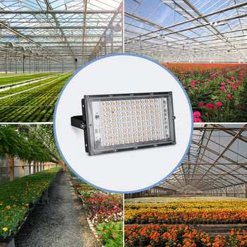 LED хидропонна лампа 220V LED фитолампи Пълен спектър LED светлина за растения 50W 100W Светлина за отглеждане на семена за оранжерии Осветление за отглеждане на цветя