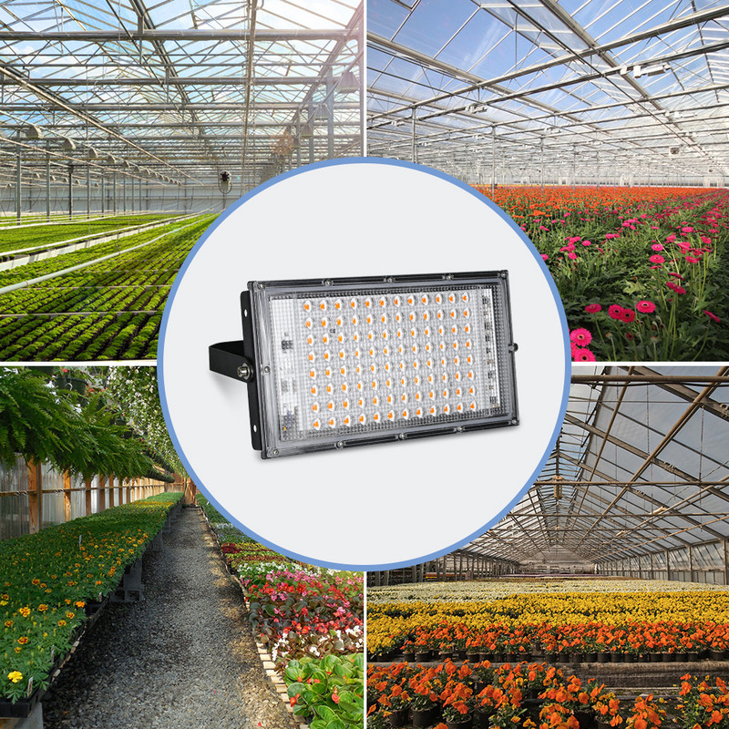 LED hidroponikus lámpa 220 V LED fitolámpák teljes spektrumú LED növényi lámpa 50 W 100 W Grow fény üvegházhatású magvak virágtermesztés világítás