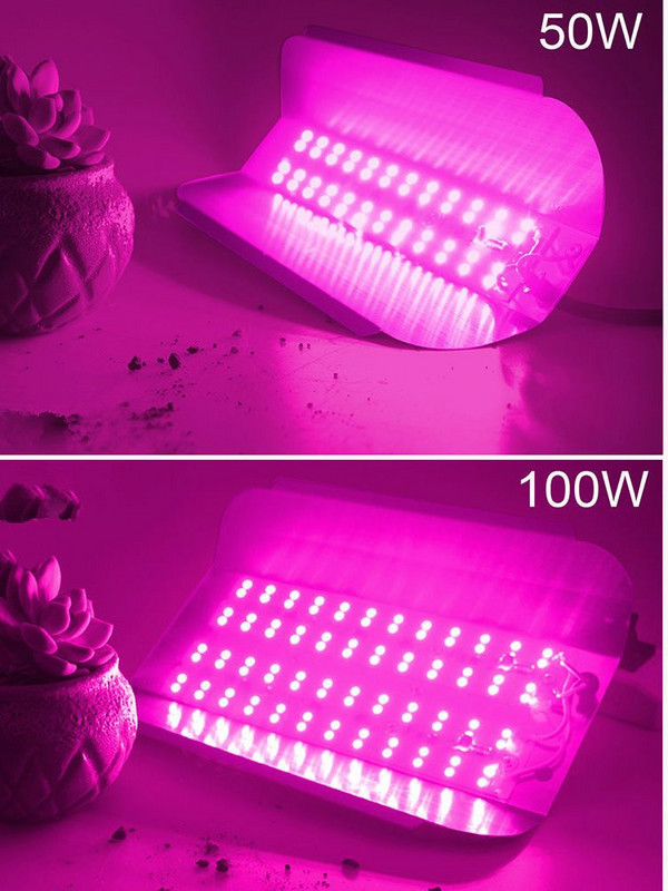 LED Grow Light teljes spektrumú 220V 110V 50W 100W 380-440NM EU dugós leddel üvegházhatású hidroponikus virágvetés fitolámpához