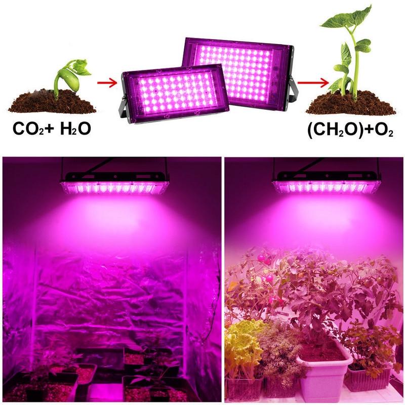 LED Grow Light teljes spektrumú 220V 110V 50W 100W 380-440NM EU dugós leddel üvegházhatású hidroponikus virágvetés fitolámpához