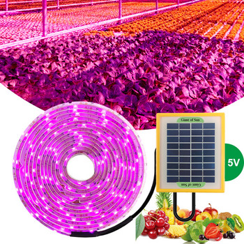 Solar LED Grow Light Strip Full Spectrum Phytolamp 5V SMD 2835 Plant Growth Light For Plants Seed Flower Greenhouse Hydroponic