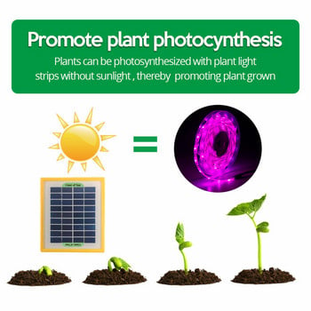 Слънчева LED лента за осветяване на растения Пълен спектър Фитолампа 5V SMD 2835 Светлина за растеж на растения за оранжерия за семена на растения Хидропоника