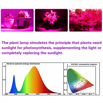 Φωτιστικό LED Grow Light Full Spectrum Plant Lamp USB Growing Light Flexible LED Phyto Lamp Flower Seedling Lighting Greenhouse Fitolampy