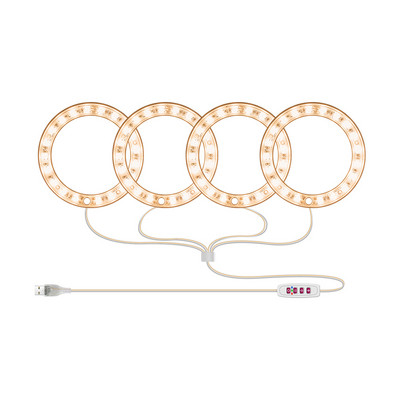 Angel Ring Növénynövesztő Fény LED-es szabályozható USB töltő Napfény Fitolámpa Vízálló Virágok Palánták Óvodai lámpák