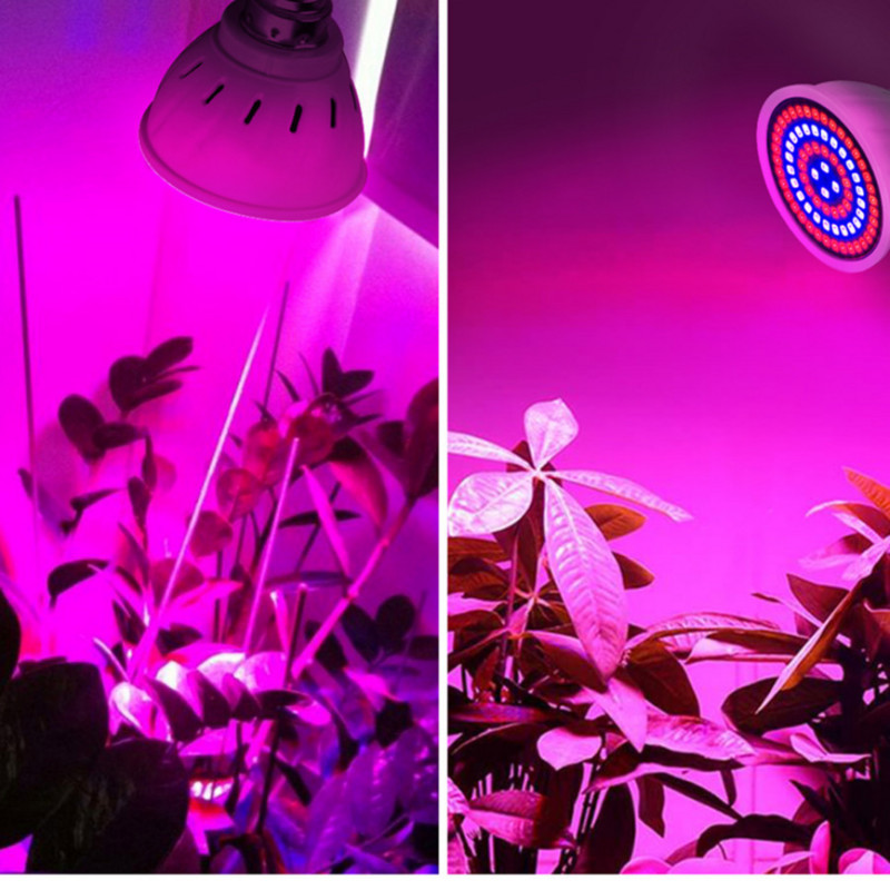 Phyto Led B22 Lumină de creștere hidroponică E27 Bec Led de creștere MR16 cu spectru complet 220V Lampă UV Plant E14 Fitolamp pentru răsaduri de flori