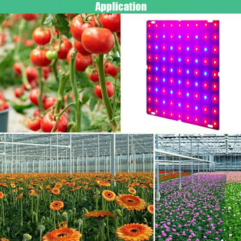 LED Grow Light Panel Full Spectrum 220V 1000W 1500W Indoor Growing Lamps for Greenhouses Fito Flowers Grow Tent US EU UK Plug