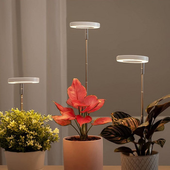 Small Grow Light Stable Full Spectrum Αυτόματο χρονοδιακόπτη ρυθμιζόμενο ύψος αυξανόμενη λάμπα LED φυτικό φωτοστέφανο για φυτό εσωτερικού χώρου