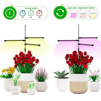 LED Grow Light για φυτά εσωτερικού χώρου Κόκκινο μπλε 4000K Λάμπα καλλιέργειας φυτών πλήρους φάσματος με χρονόμετρο για υδροπονικό φυτό φυτών