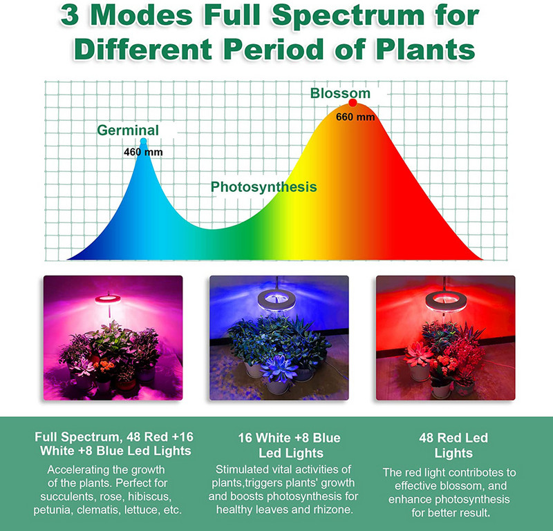 Lămpi de creștere pentru plante de interior Lampă cu LED-uri cu spectru complet, bandă de lumină de creștere reglabilă pe înălțime Temporizator automat în formă de inel