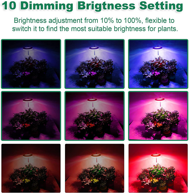 Lămpi de creștere pentru plante de interior Lampă cu LED-uri cu spectru complet, bandă de lumină de creștere reglabilă pe înălțime Temporizator automat în formă de inel
