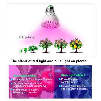 Full Spectrum 60/126/200 LED Grow Light Bulbs E27 Grow Lamp Red Blue LED For Plants Indoor Hydro Flower Veg Grow Tent Phytolamp