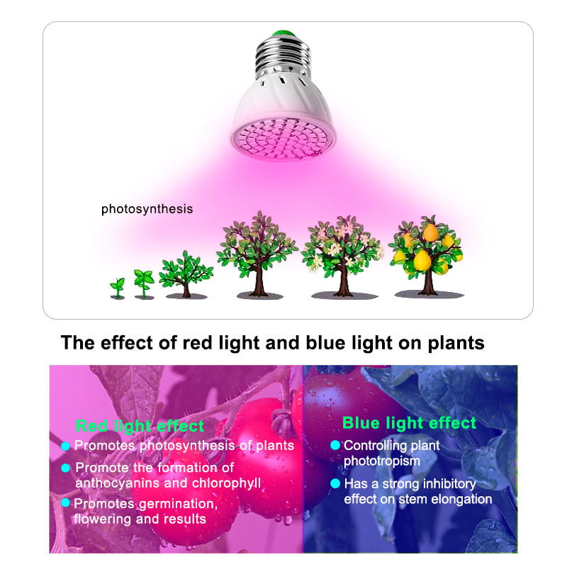 Becuri de creștere cu spectru complet 60/126/200 LED E27 Lampă de creștere LED roșu albastru pentru plante interioare Hydro Flower Veg Grow Cort Phytolamp