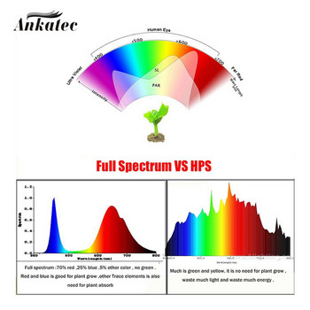 3 τεμ/παρτίδα Full Spectrum 380-840nm LED COB Chip Beads 10W υψηλής ισχύος 9-12V Χάλκινο στήριγμα για το φυτό θερμοκηπίου Grow Light