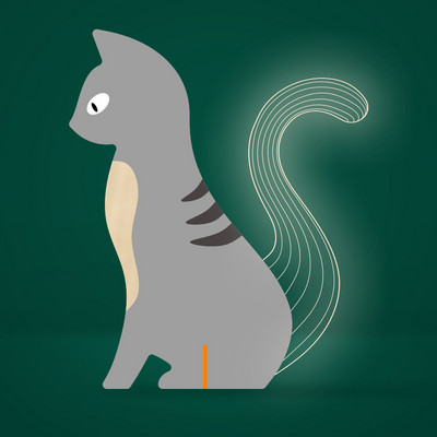 Životinje LED noćna svjetiljka Drveni akrilni stol USB svjetla Ukrasite za djecu Bebe Dječje noćne lampe Pelikan Sirius Kit Tukan