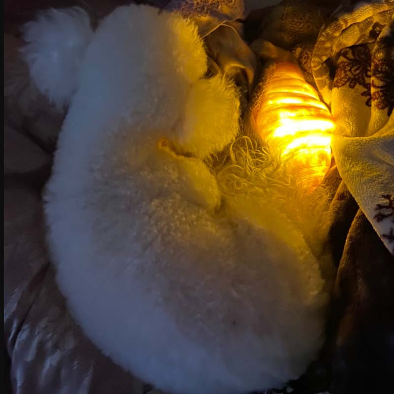 Creative Simulation Bread Light Fun Home Croissant LED Bread Night Light