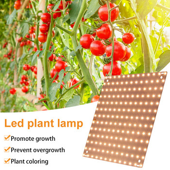 LED Grow Light 4000K Full Spectrum Ισχυρό φυτό φυτό φυτό φυτό αδιάβροχο λαμπάκι Ανάπτυξη φυτό για λουλούδια εσωτερικού χώρου Λαχανικά